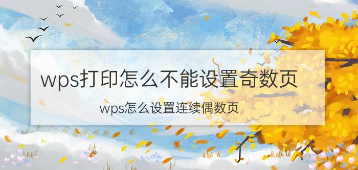 wps打印怎么不能设置奇数页 wps怎么设置连续偶数页？